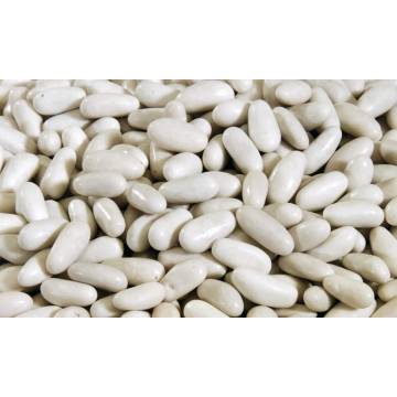 SUGARED PINE NUTS 100G SPAR